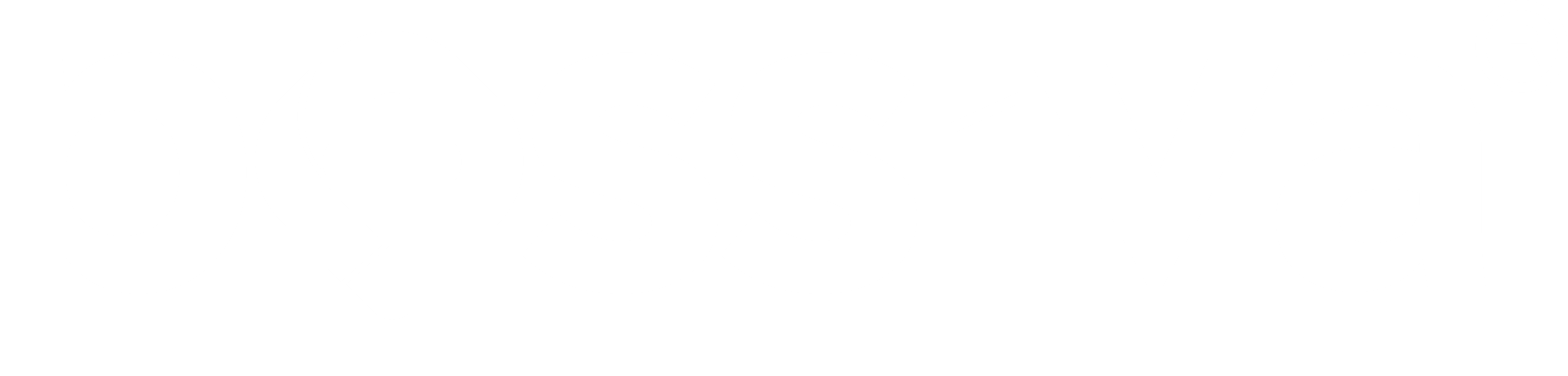 possiva logo